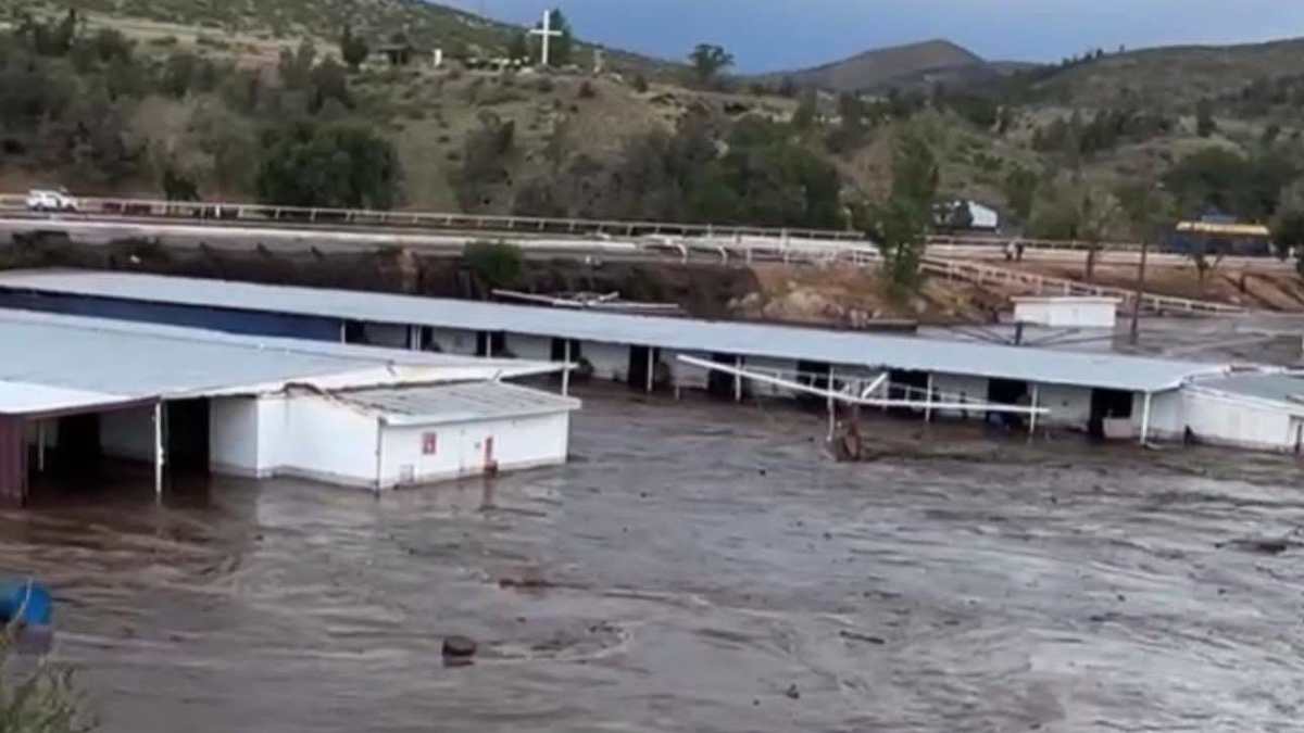 Update: Meet Cancelled, One Horse Confirmed Dead After Severe Flash  Flooding At Ruidoso Downs - Paulick Report | Latest news and commentary  from the horse racing and equine world