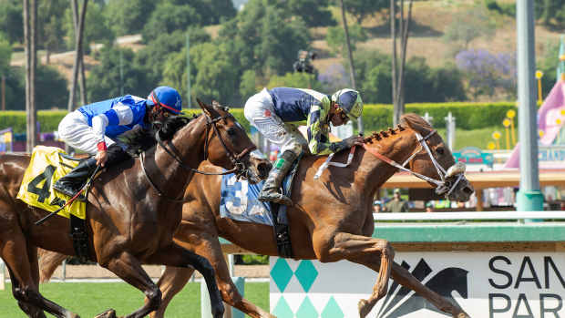 Dubai World Cup winner Victoire Pisa retired - Paulick