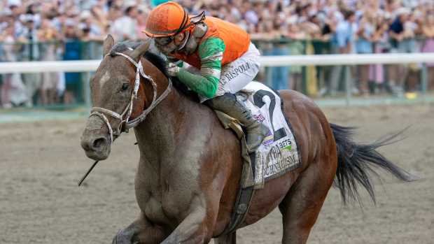 2011 DUBAI WORLD CUP Victoire Pisa 記念品 Dubai World Cup winner Victoire Pisa retired - Paulick