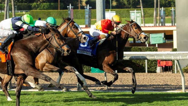 Dubai World Cup Winner Victoire Pisa Sold To Stand In Turkey