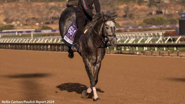 2024 Breeders' Cup Classic Cheat Sheet: Get to Know the