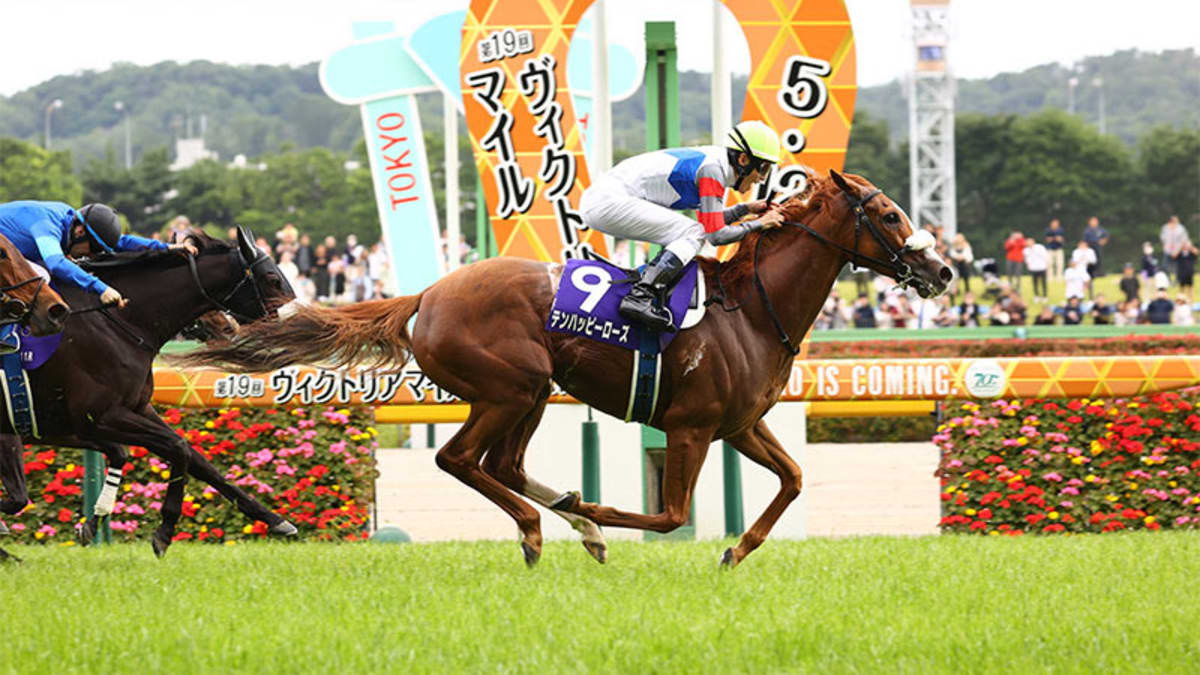 ten-happy-rose_2024-victoria-