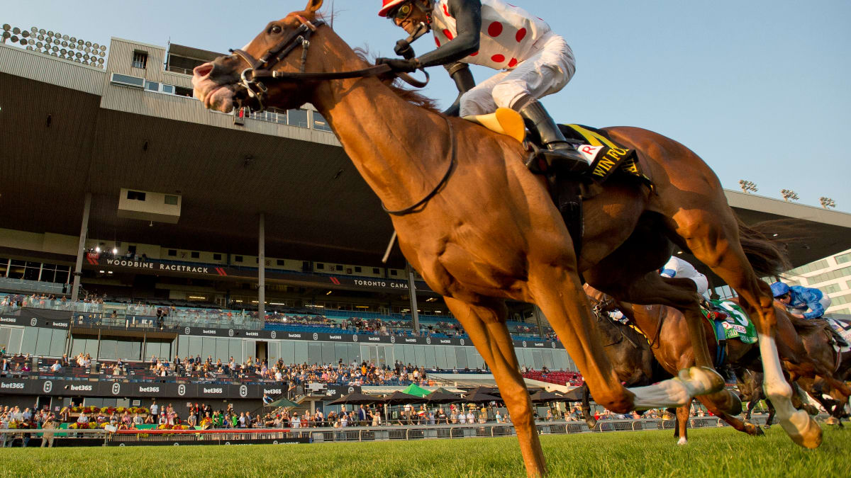 win-for-the-money_2024-