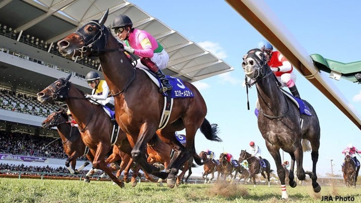 Kentucky-Bred Mr Melody Scores Grade 1 Win In Japan