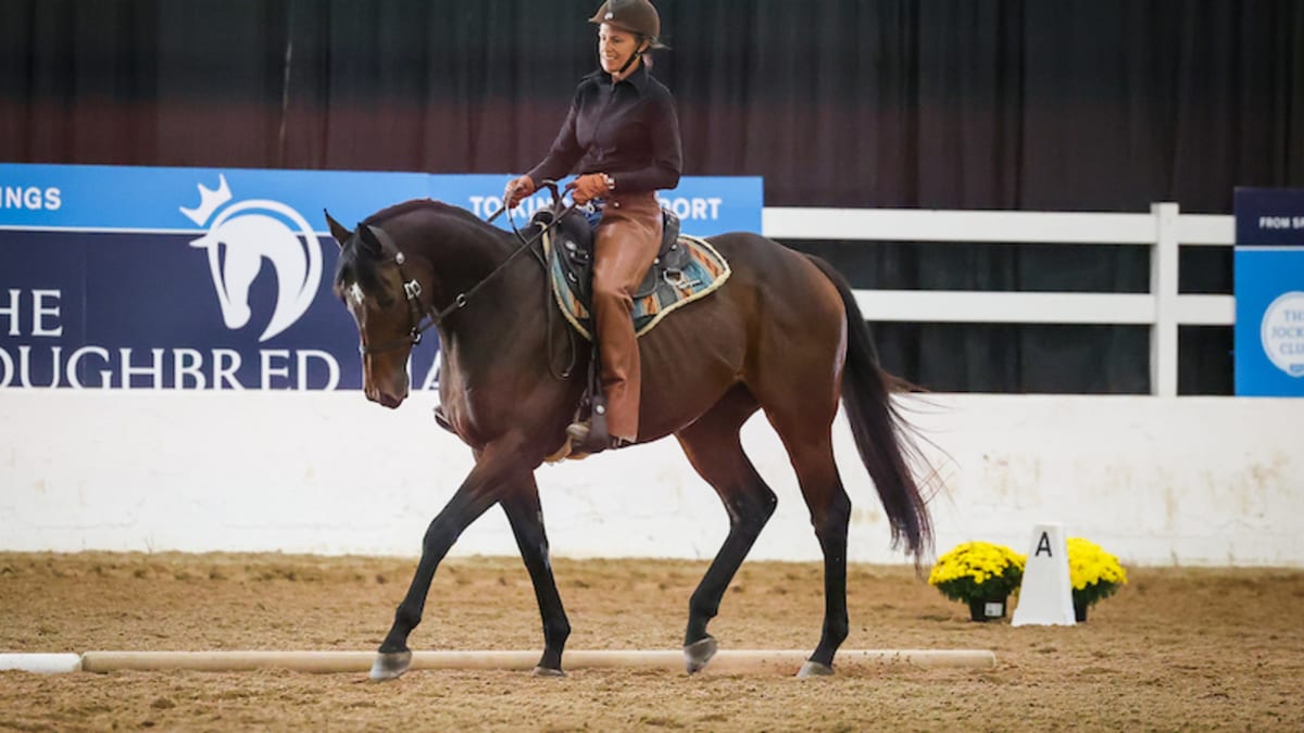 Western dressage show shirt store