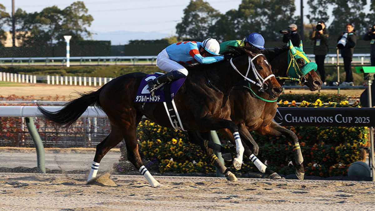 競馬　EPOCH HORSE RACING スペシャルウィーク 競馬 EPOCH HORSE RACING スペシャルウィーク 競馬 EPOCH HORSE RACING