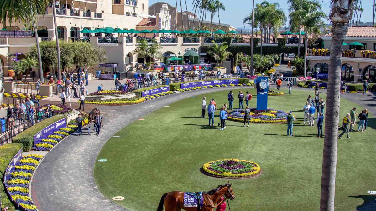 送料無料の商品 breeders-cup-at-del-mar-2024.jpg 趣味