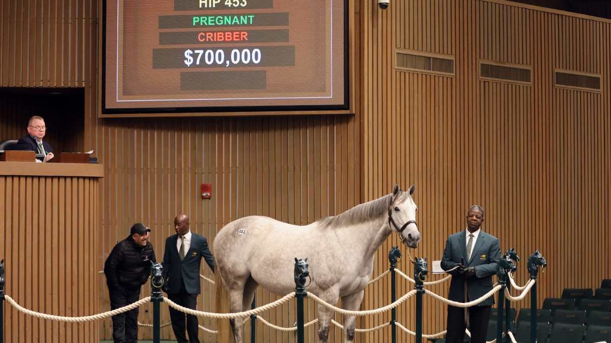 すぐったレディース福袋 hip-453-pretty-birdie-sells- ロンパース・カバーオール