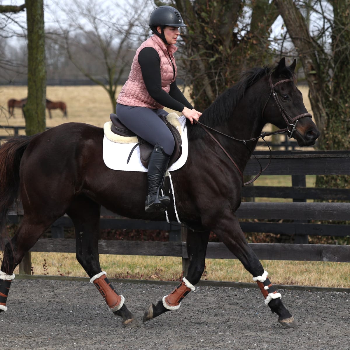 Leg Straps - Equestrian Roots