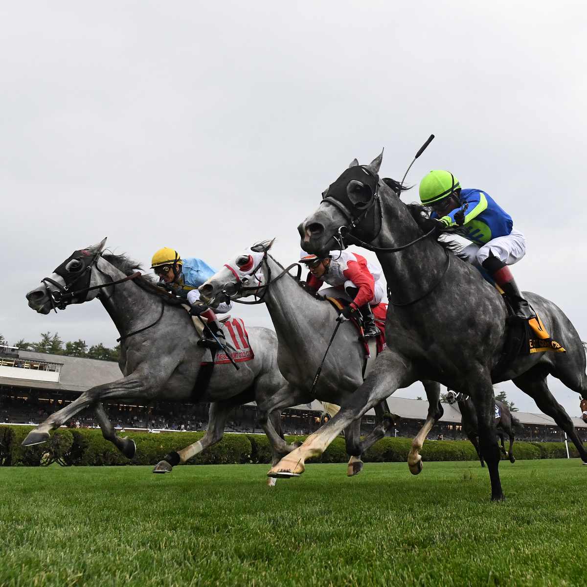 The Grey Wizard Nails Three-Horse Photo In Belmont Gold Cup - Paulick  Report | Shining Light on the Horse Industry