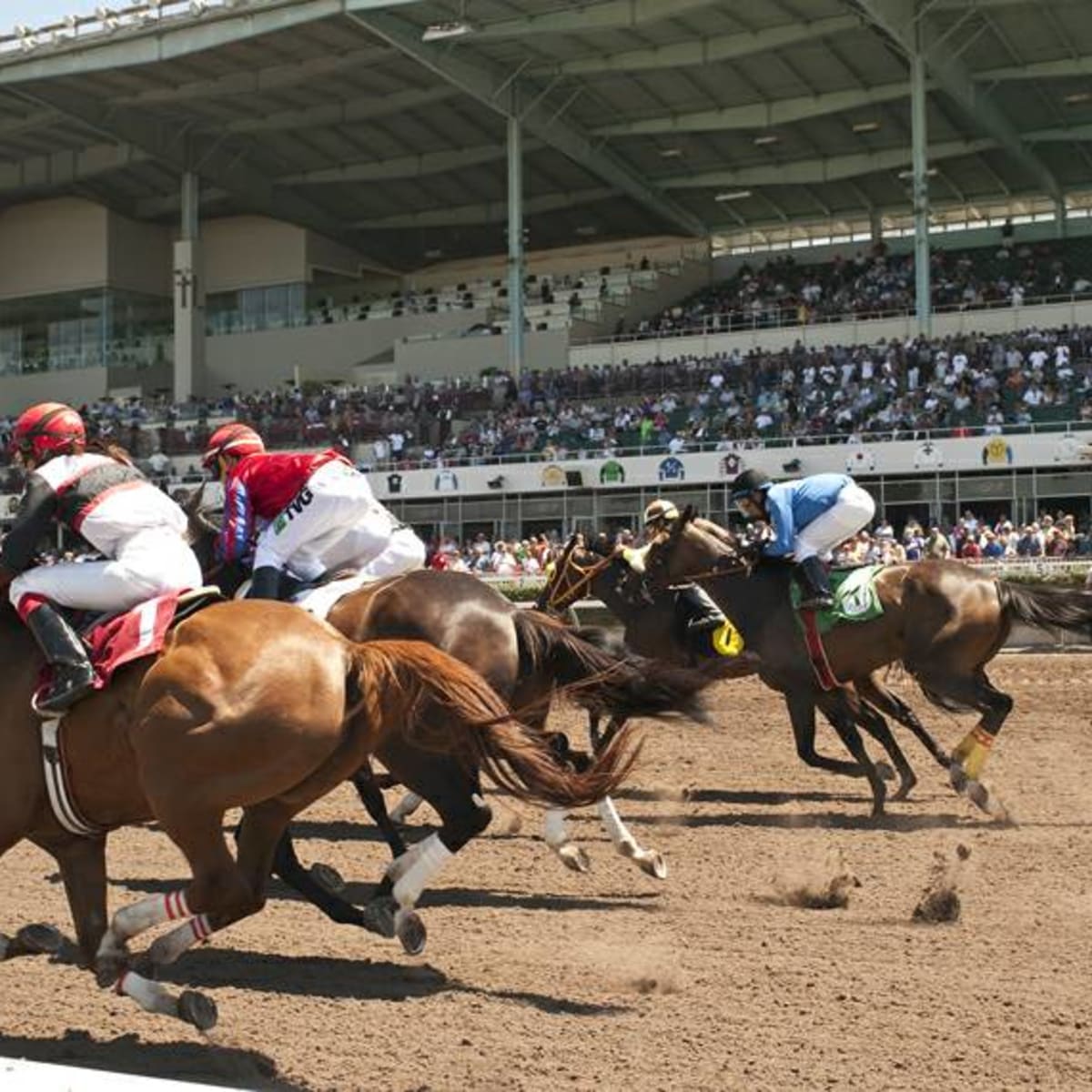 ROAP Announces Annual Accreditation School At Los Alamitos - Paulick Report