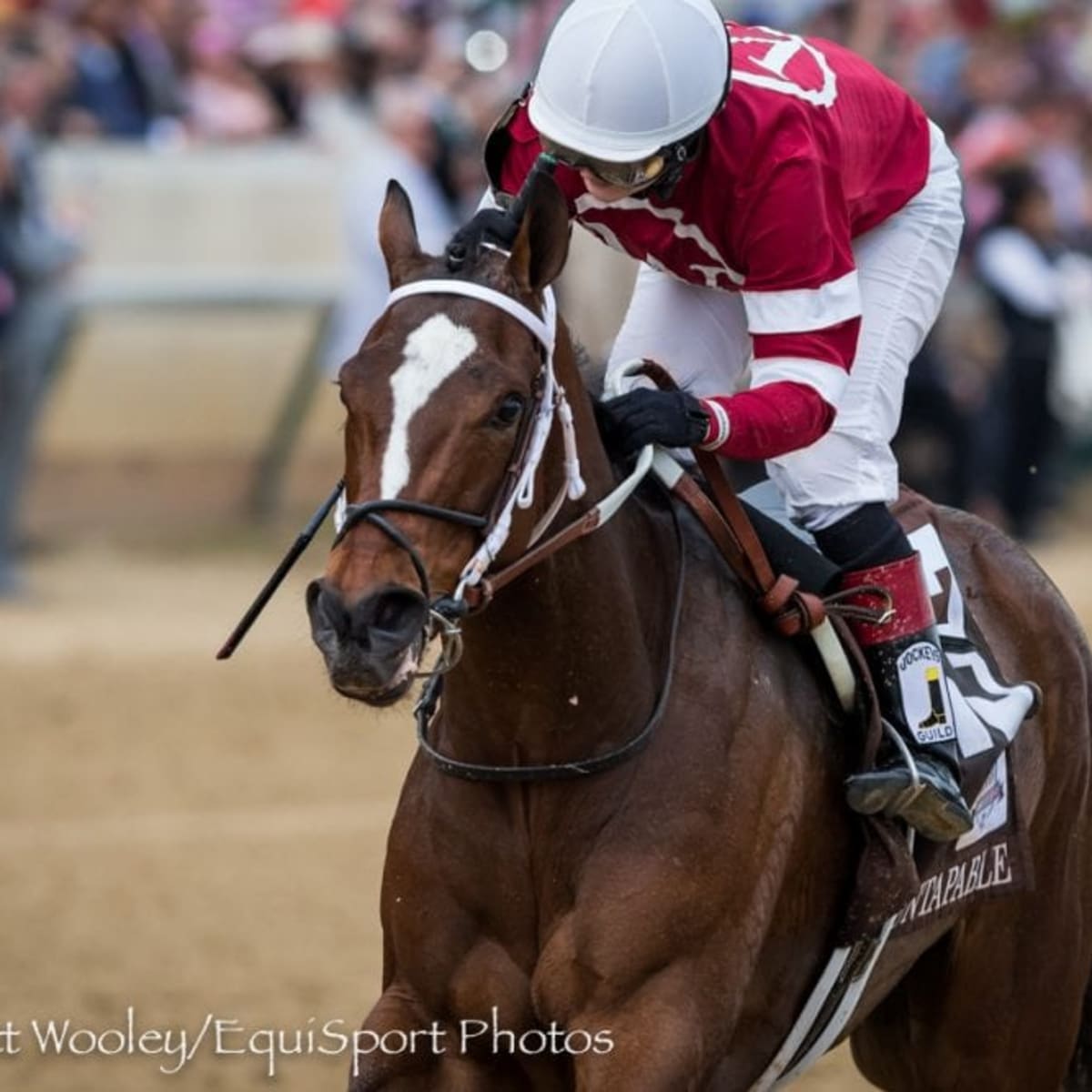 Untapable Exits Oaks Well, Unlikely for Preakness - Paulick Report