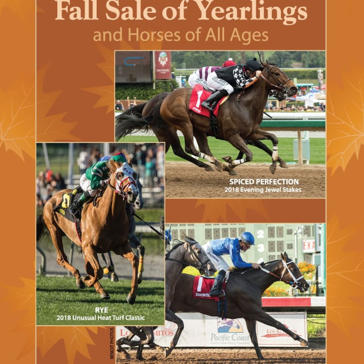 Fall 2018 Catalog