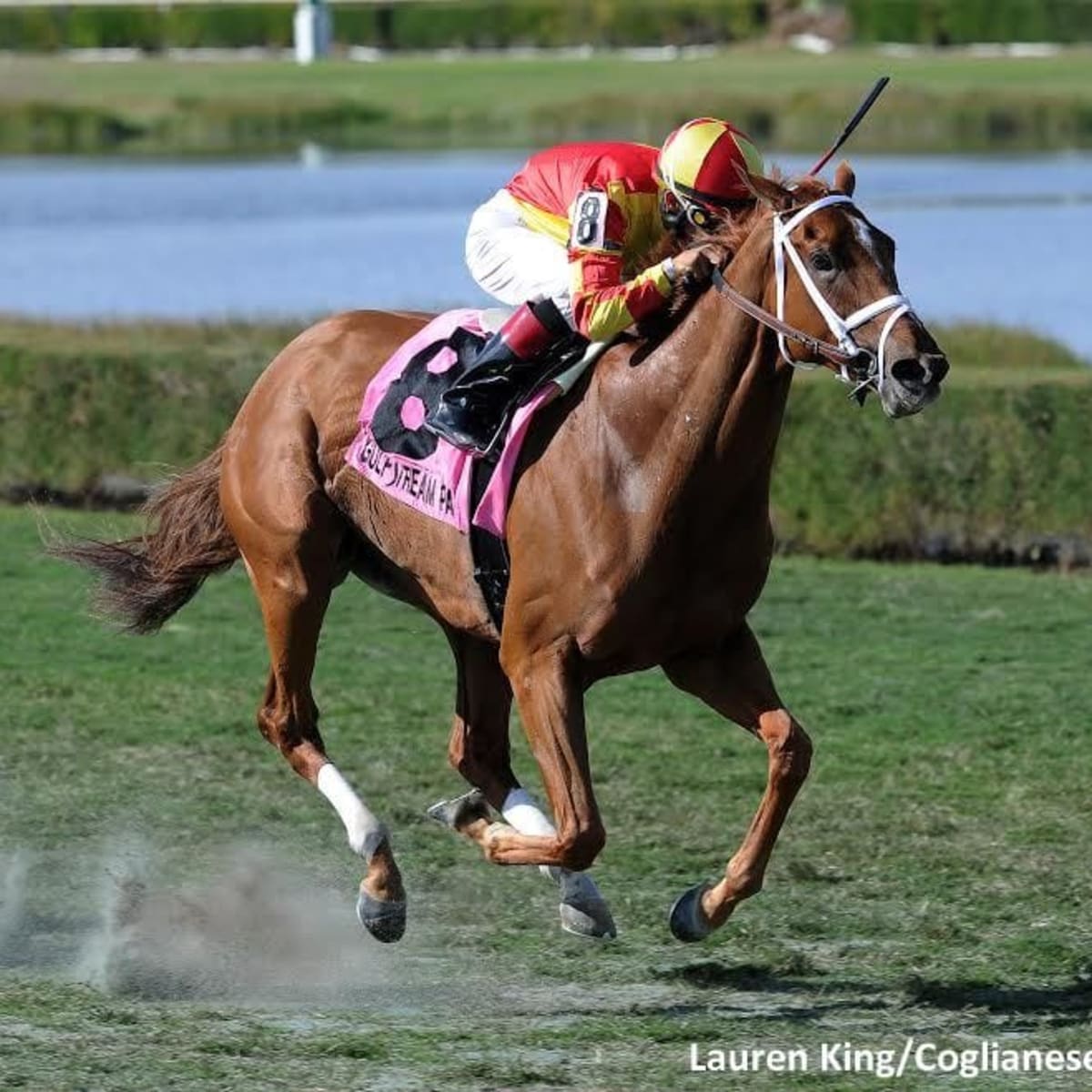 Isabella Sings Runs Away With My Charmer Handicap - Paulick Report |  Shining Light on the Horse Industry
