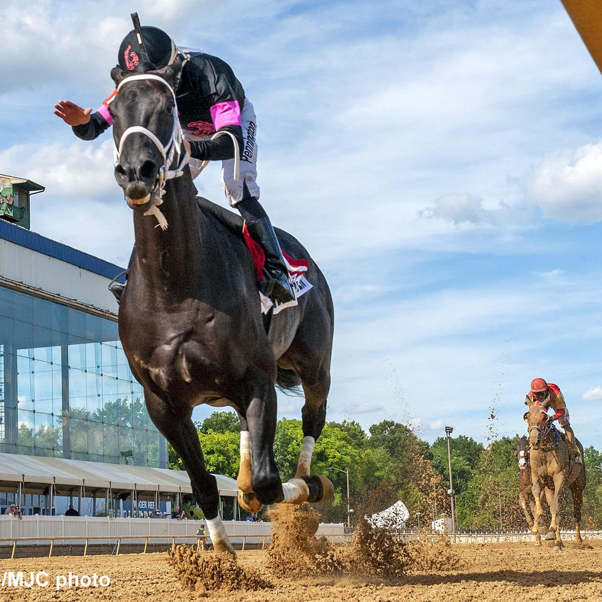 Ridin With Biden Easy Winner Of Deputed Testamony At Laurel, Divine  Huntress Among Four To Take Undercard Stakes For MD-Breds - Paulick Report  | Shining Light on the Horse Industry