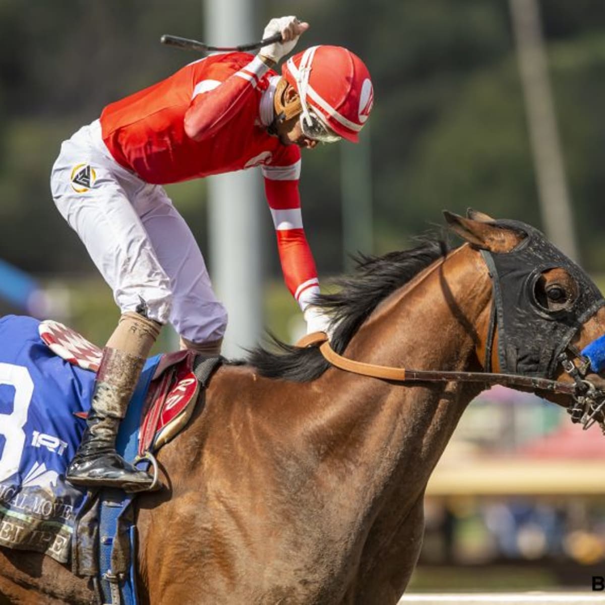 Road To Kentucky Derby: 'Phenomenally Gifted' Practical Move Takes San  Felipe For Yakteen - Paulick Report | Shining Light on the Horse Industry