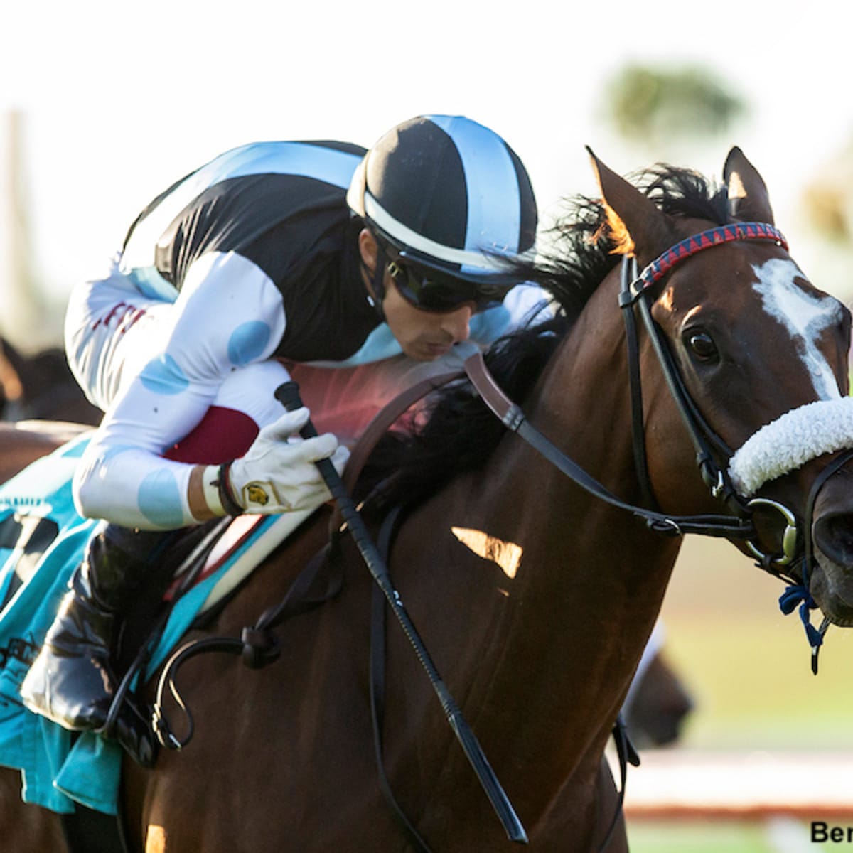 Jockey Club Brasileiro increases Pick 7 bonus and excites bettors this year