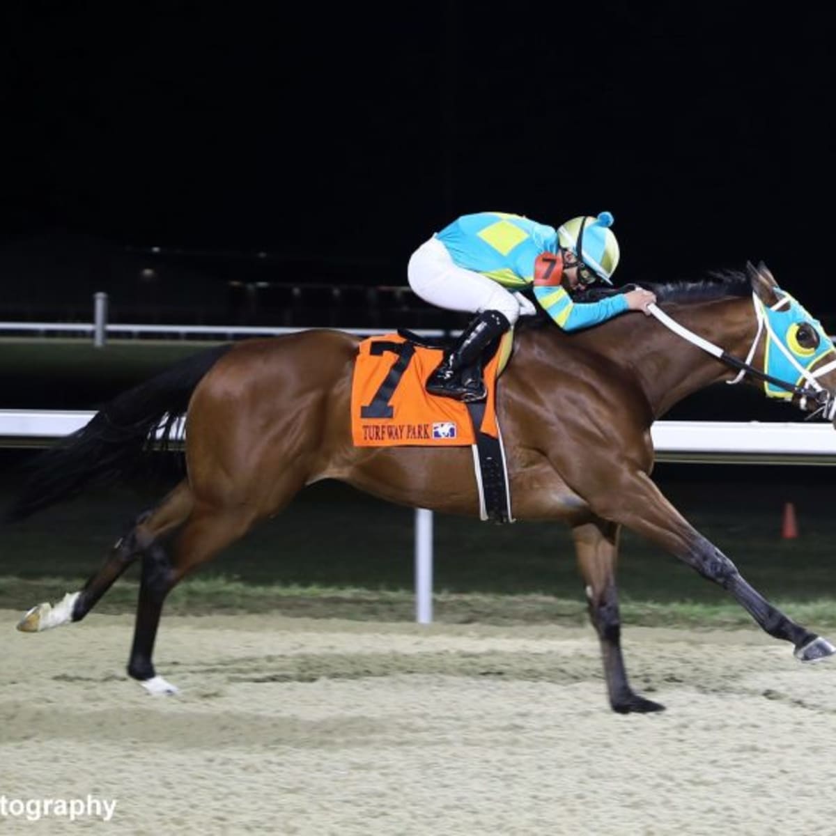 Ocean Atlantique Powers Wire To Wire To Land Dust Commander At Turfway Park  - Paulick Report