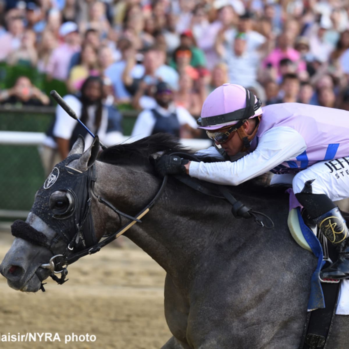 2023 Eclipse Awards: Arcangelo, Pretty Mischievous Take Equine Honors -  Paulick Report | Shining Light on the Horse Industry