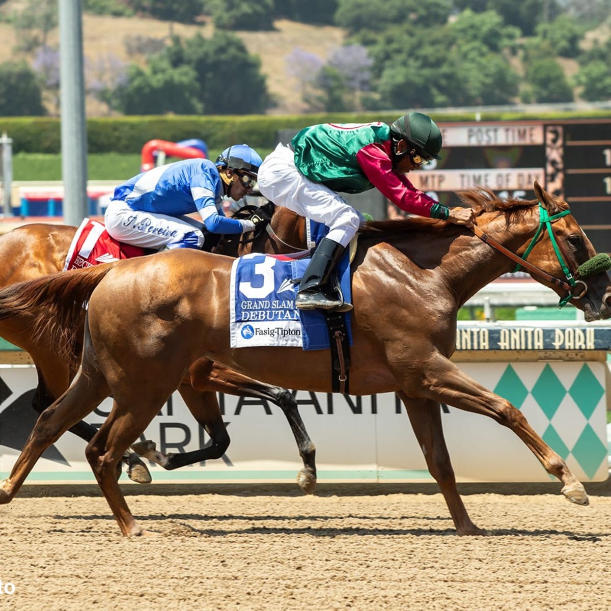 Golden Gate Shipper Grand Slam Smile Prevails In Fasig-Tipton Debutante At  Santa Anita - Paulick Report | Shining Light on the Horse Industry