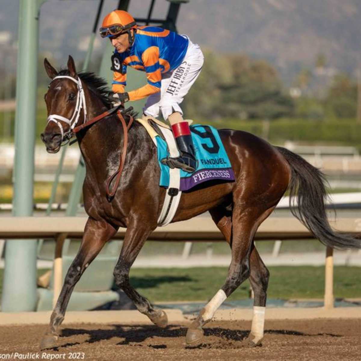 Kentucky Derby 2024 betting expected to eclipse 2023 total verloop.io