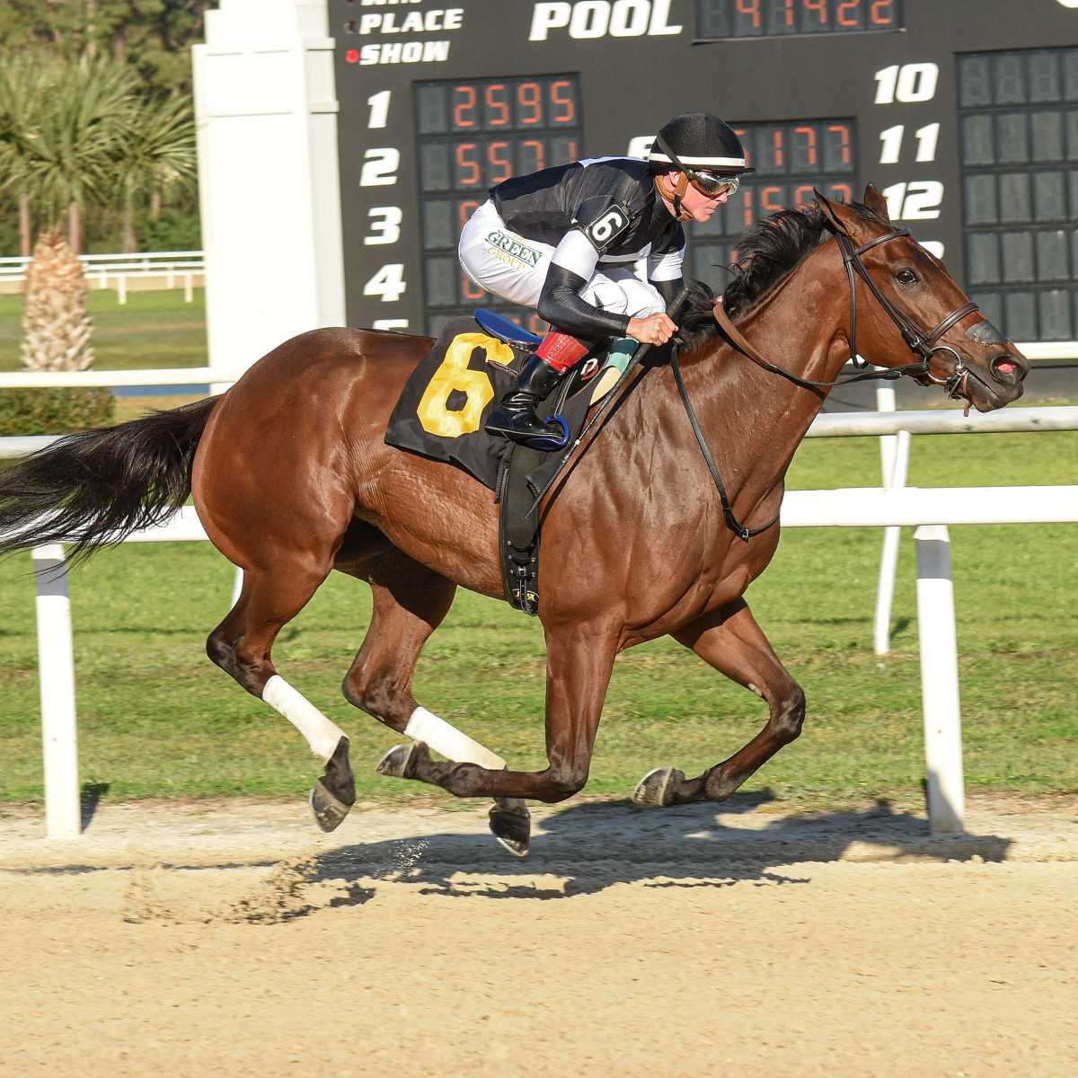 La Cara, Kentucky Oaks Longshot, hits the wire