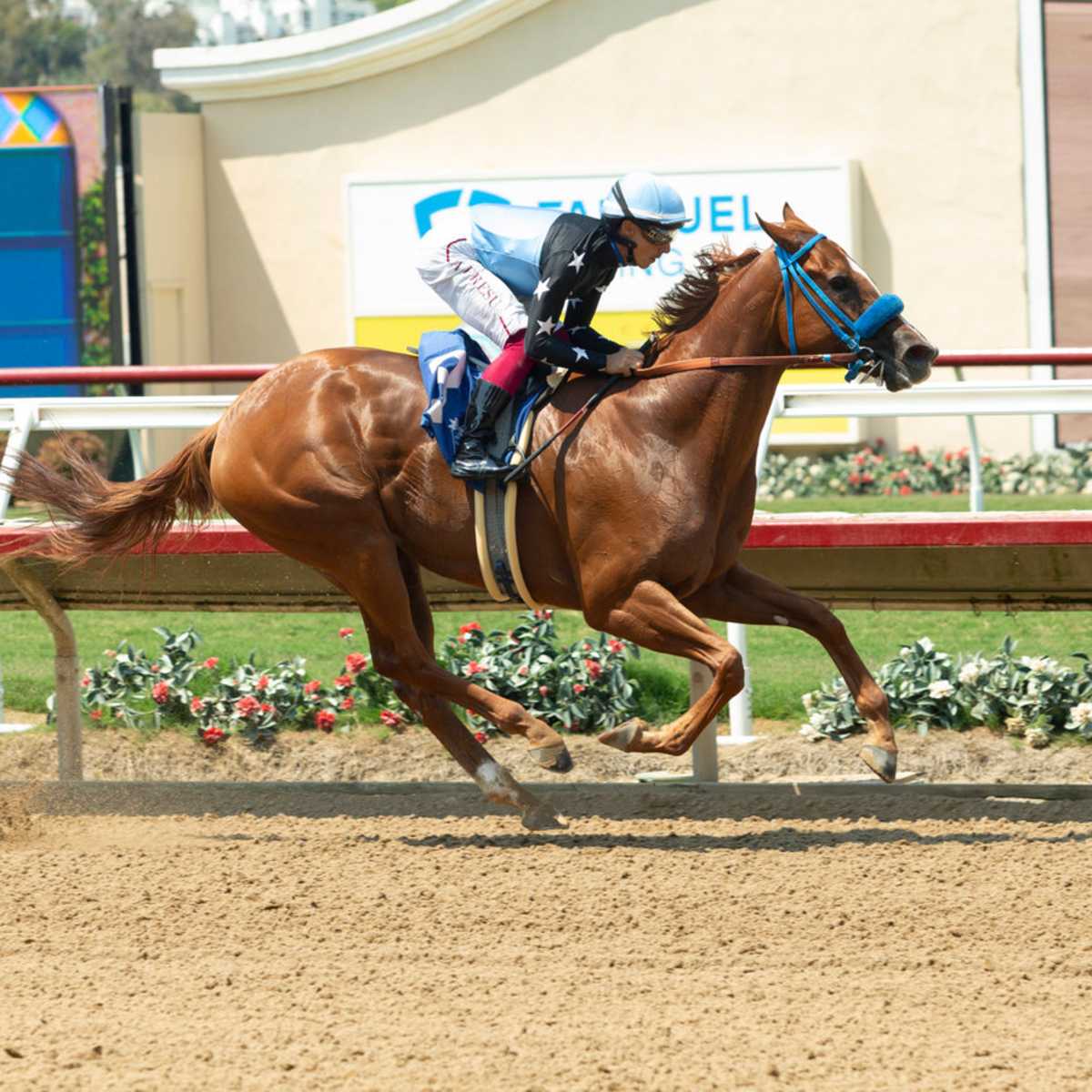 Lightly Raced Formula Rossa Seeks First Graded Win In La Brea - Paulick  Report | Latest news and commentary from the horse racing and equine world, image size:1200x1200