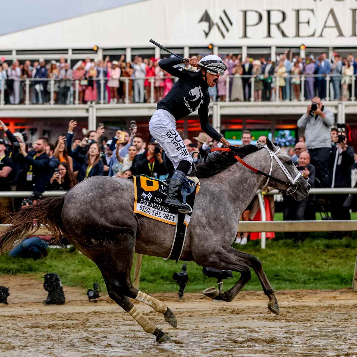 競馬　EPOCH HORSE RACING スペシャルウィーク ホースレーシング トレーディングカード ～2024上半期総集編