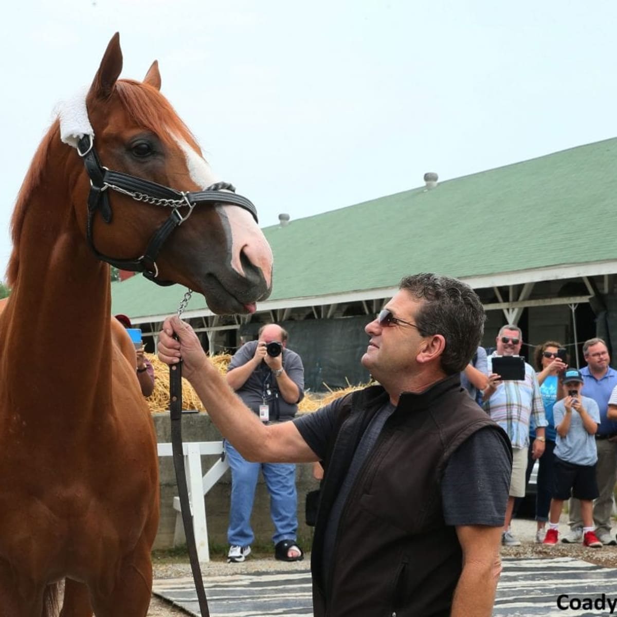 Breyer Will Add Collectible Of Justify To Stable Of Champions Paulick Report Latest news and commentary from the horse racing and equine world