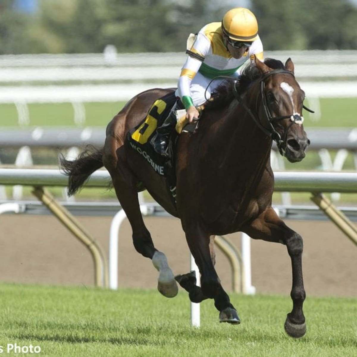 Tiz A Slam Repeats In Nijinsky, Stretches Win Streak To