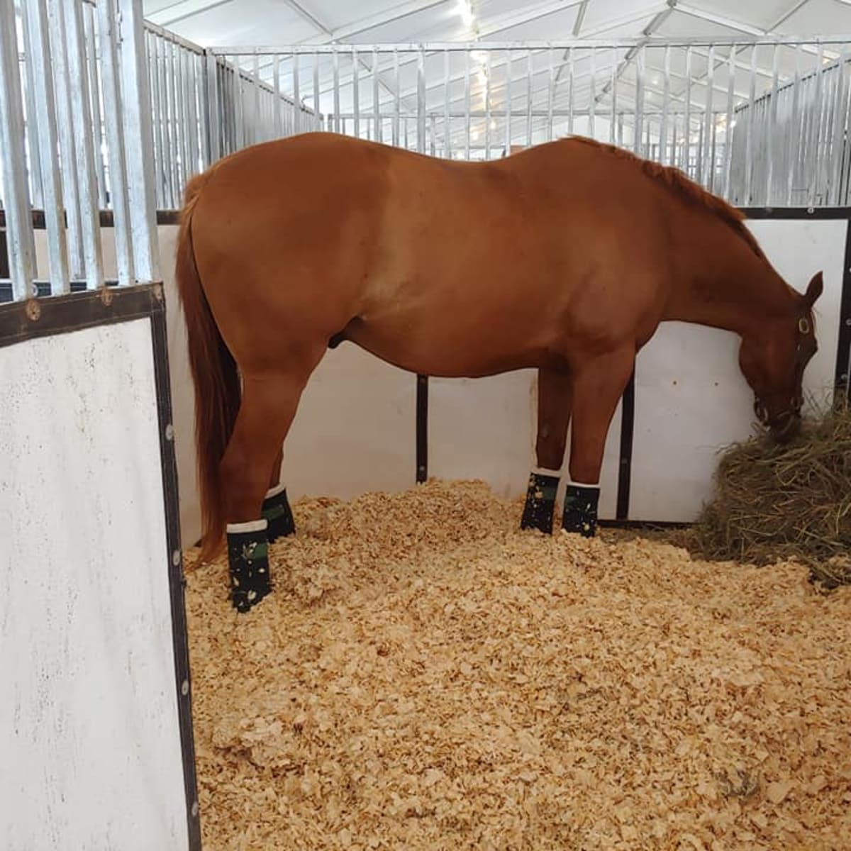 Bedding sales for horses