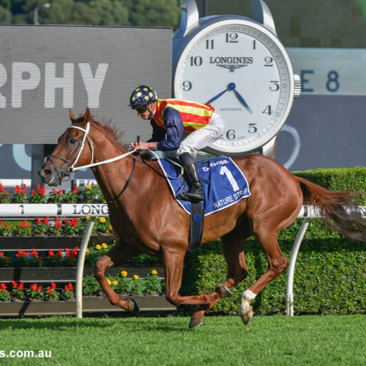 Longines horse sales racing