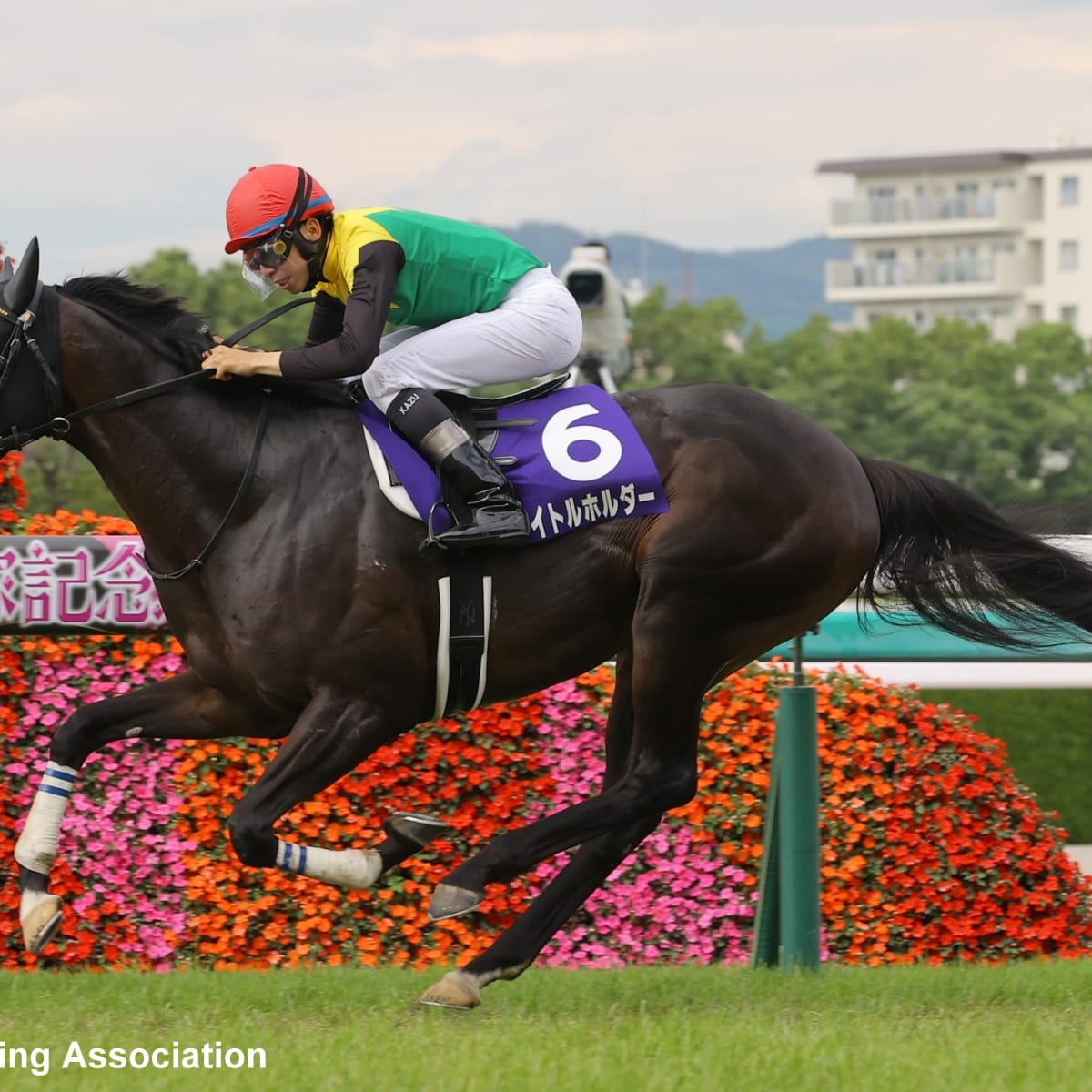 Amazon.co.jp: 競走馬ハンドブック = THE RACEHORSE HANDBOOK