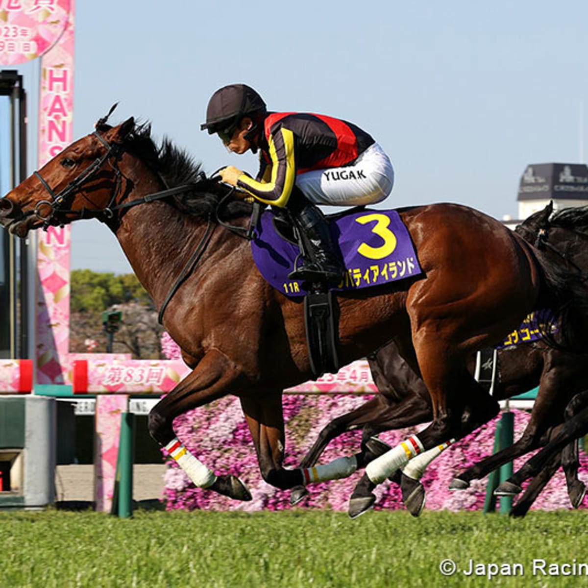 Champion Liberty Island Convincing Winner Of Japanese 1000