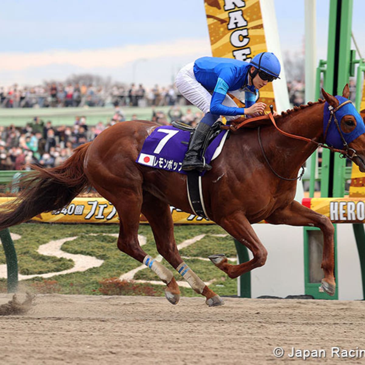 Godolphin's Lemon Pop Secures Breeders' Cup Classic Berth With 