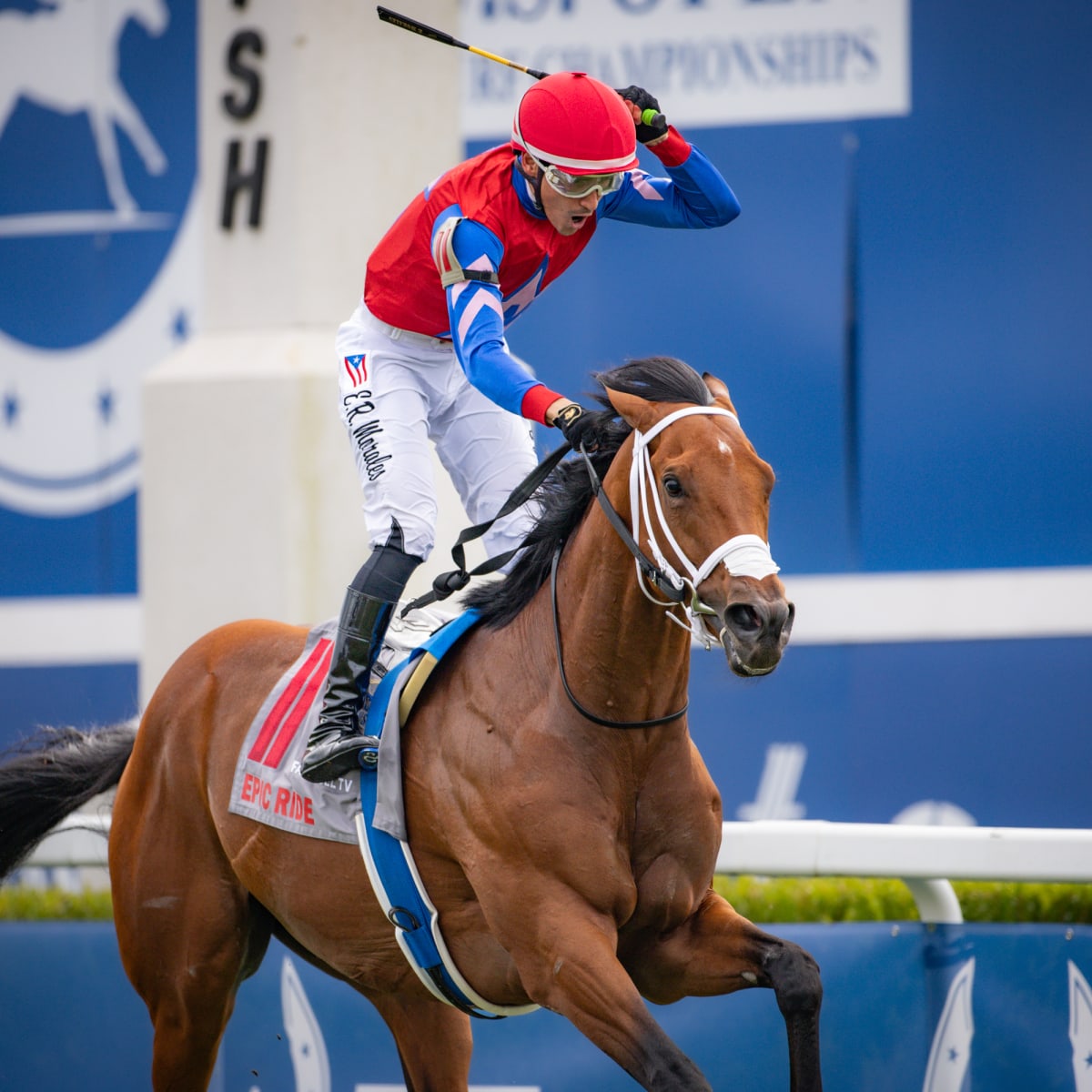 ビジネス・経済 HIT WIN VICTORY II OF HORSE RACE maxresdefault.jpg?sqp=-