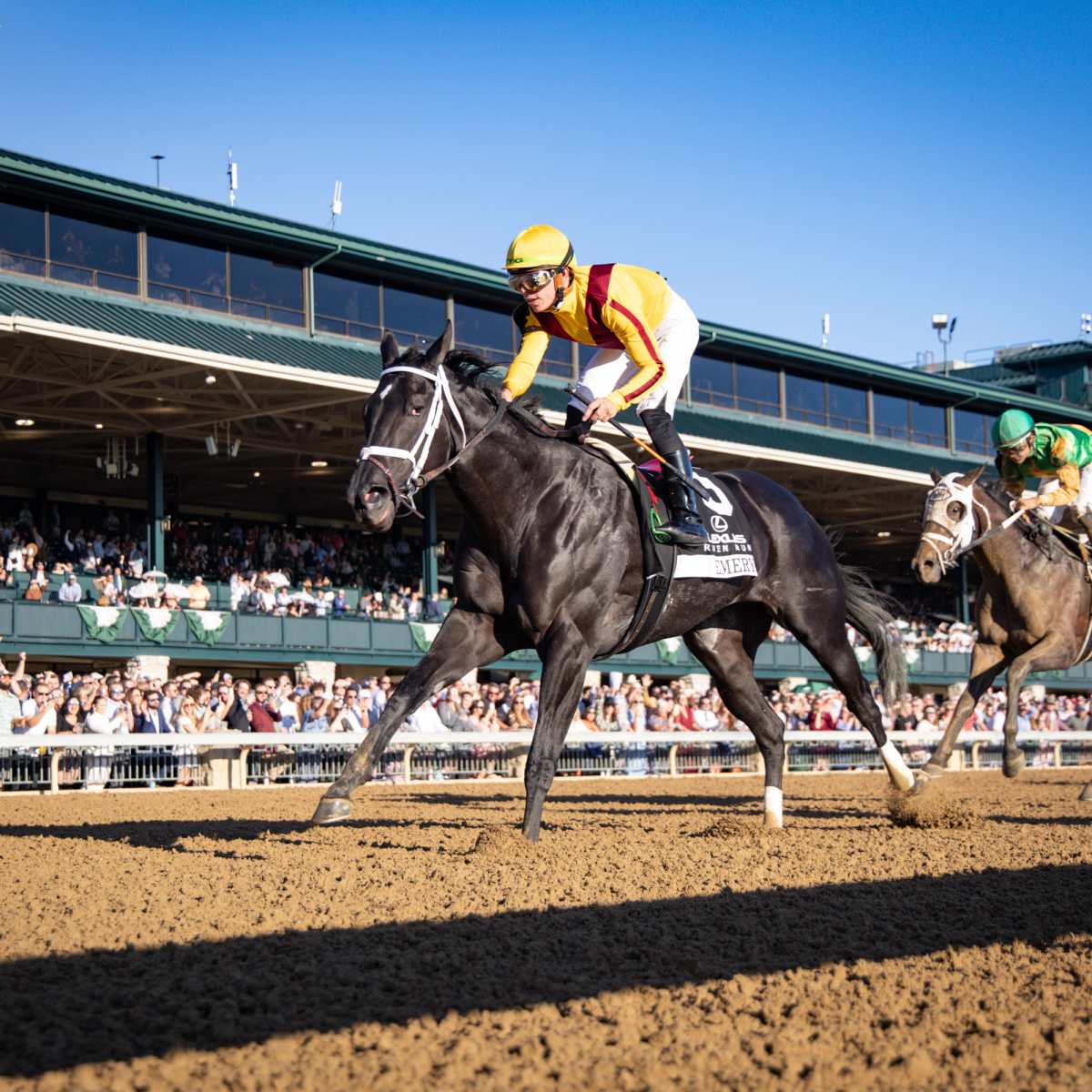Emery Rolls To Victory In Raven Run - Paulick Report
