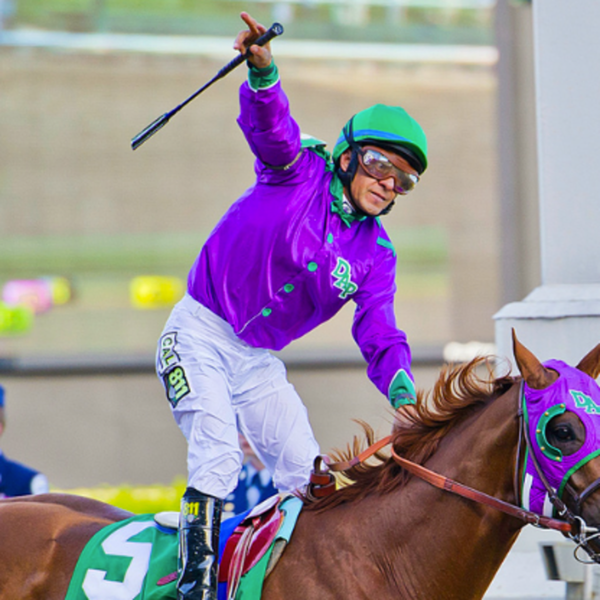 California Chrome Joins Top 5 in Longines World s Best Racehorse