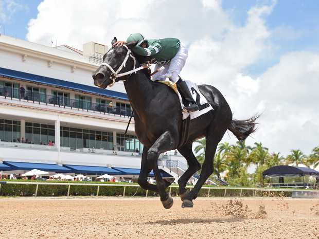 Rated By Merit gets a pat from jockey Jesus Rios as he wins on debut by 9 3/4 lenths