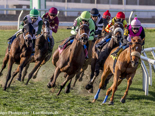 Racing over the turf at Fair Grounds in New Orleans, La.
