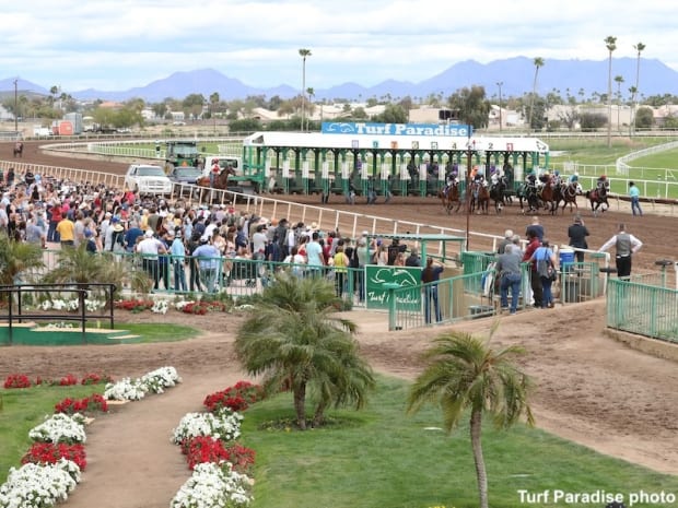 Turf Paradise in Phoenix, Ariz.