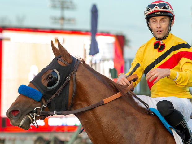 He Really Loved Coming Down The Hill': First Peace Cruises To First Stakes  Win In Santa Anita's John Shear - Paulick Report