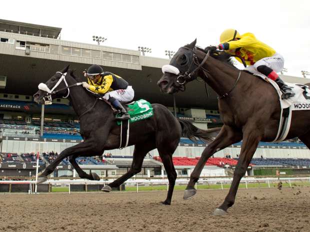 Church and State, #5, under Rafael Hernandez, wears down Incoming to win the King Corrie