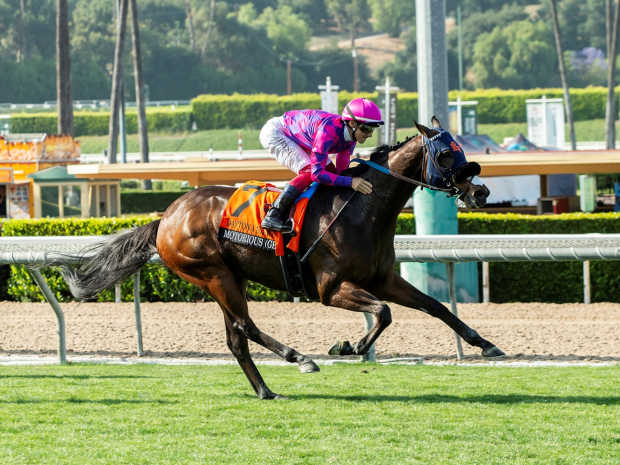 Seven-year-old Motorious wins Santa Anita's Daytona (G3) under Antonio Fresu