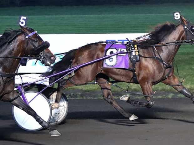 Charlie May, the horse, wins the 2023 William Haughton Memorial at The Meadowlands.