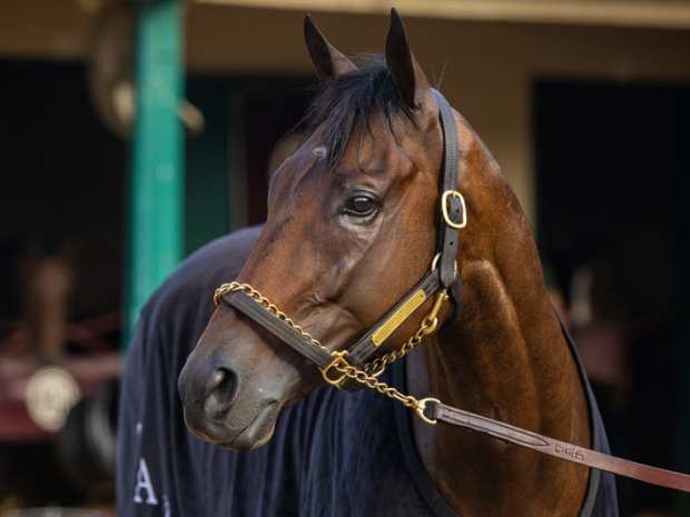 Pacific Classic (G1) winner Fierceness