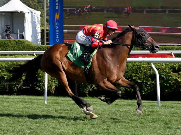 Twenty Six Black totes Flavien Prat to victory in the Disco Partner at Saratoga