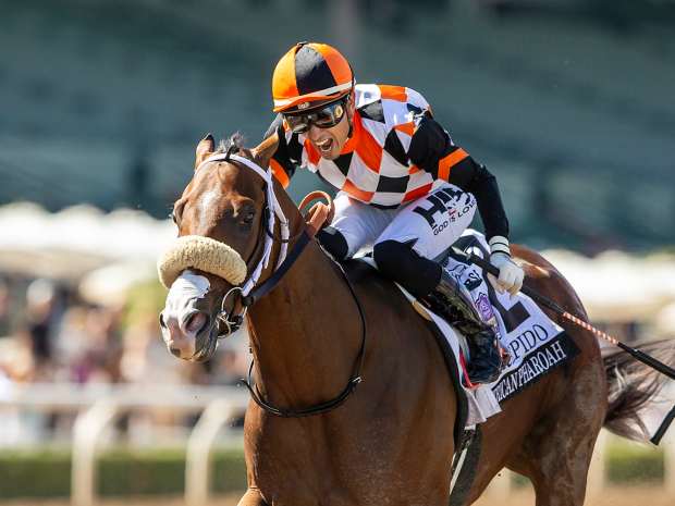 Kentucky Derby Alum Mor Spirit, Graded Winner Pyrenees Exported To Korea  For 2026 - Paulick Report | Latest news and commentary from the horse  racing and equine world