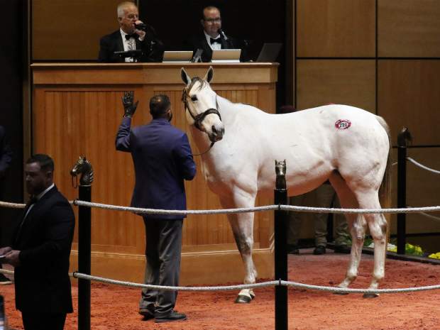 Streak of Luck, dam of Ted Noffey, the presumptive 2-year-old male champion after his win in the Breeders' Cup Juvenile, brought the top price of $6.2 million at Fasig-Tipton's November Sale. She was sold believed to be pregnant to Not This Time.