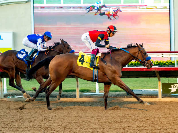 Revera, guided by Antonio Fresu, defeats Himika in the Desi Arnaz Stakes at Del Mar